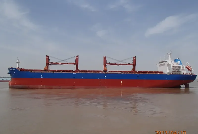 OCEANLOVE Bulk Carrier IMO 9641352 photo 9