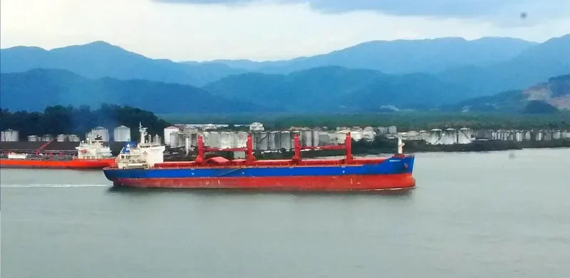 OCEANLADY Bulk Carrier IMO 9641364 photo 2