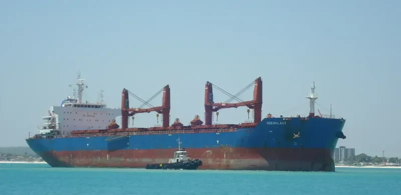 OCEANLADY Bulk Carrier IMO 9641364 photo 4