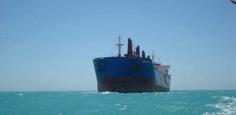 OCEANLADY Bulk Carrier IMO 9641364 photo 5