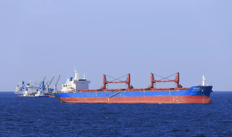 OCEANLADY Bulk Carrier IMO 9641364 photo 7
