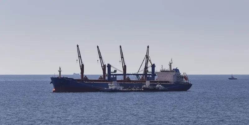 OCEANLADY Bulk Carrier IMO 9641364 photo 9