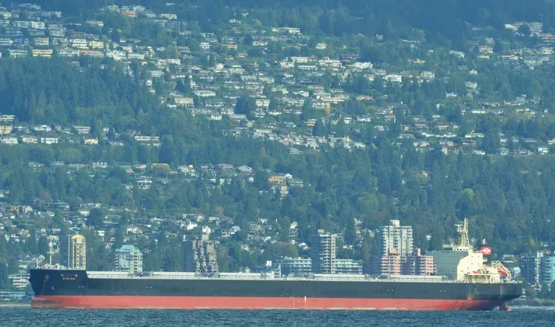 SHOYOH Bulk Carrier IMO 9641376 photo 3