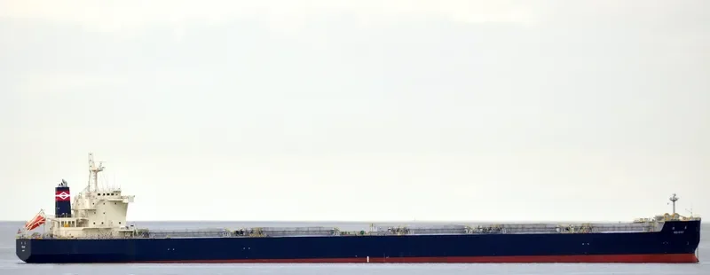 REIHOU Bulk Carrier IMO 9641388