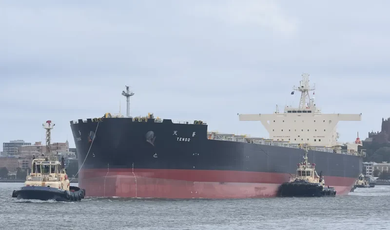 TENSO Bulk Carrier IMO 9641390 photo 5