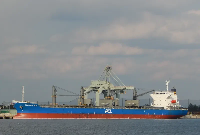 IONA ISLAND Bulk Carrier IMO 9641780 photo 3