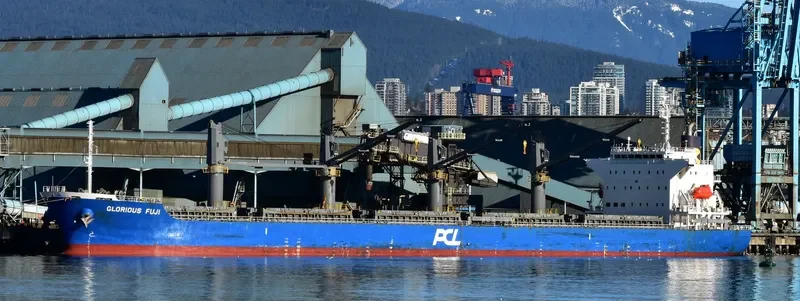 IONA ISLAND Bulk Carrier IMO 9641780 photo 4