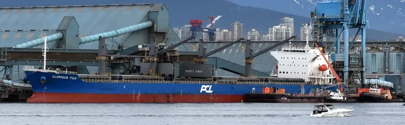 IONA ISLAND Bulk Carrier IMO 9641780 photo 6