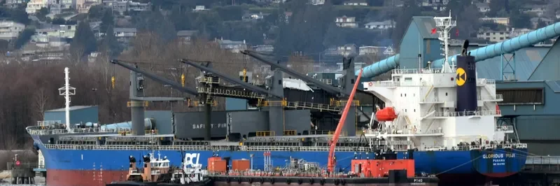 IONA ISLAND Bulk Carrier IMO 9641780 photo 7