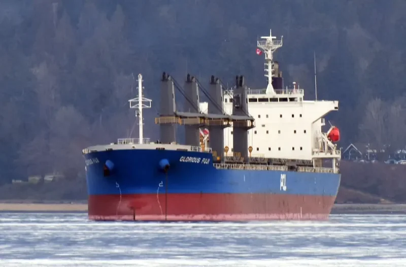 IONA ISLAND Bulk Carrier IMO 9641780 photo 9