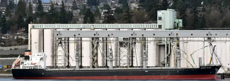 PREDATOR Bulk Carrier IMO 9641792