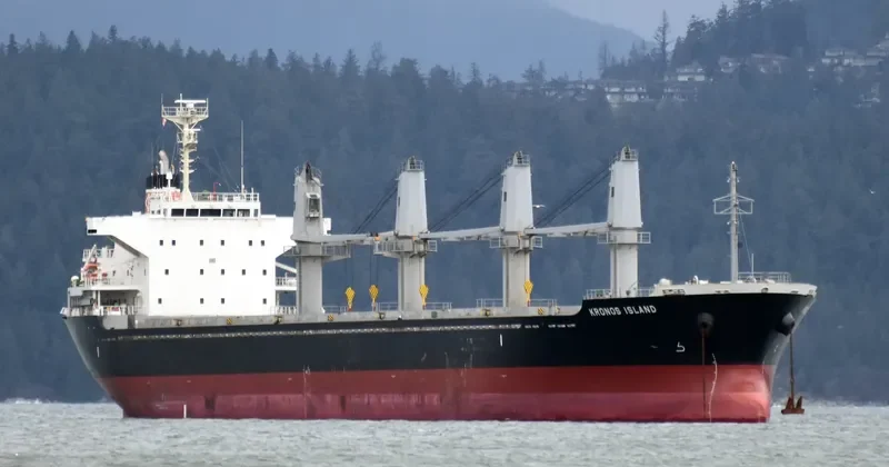 PREDATOR Bulk Carrier IMO 9641792 photo 2