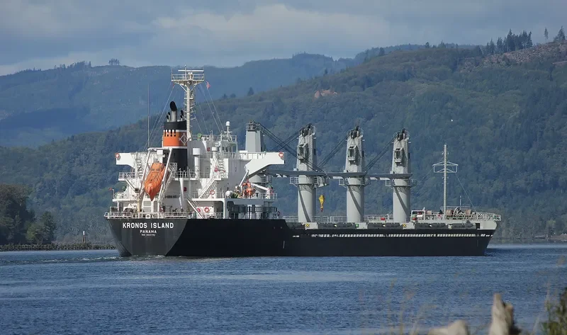 PREDATOR Bulk Carrier IMO 9641792 photo 8