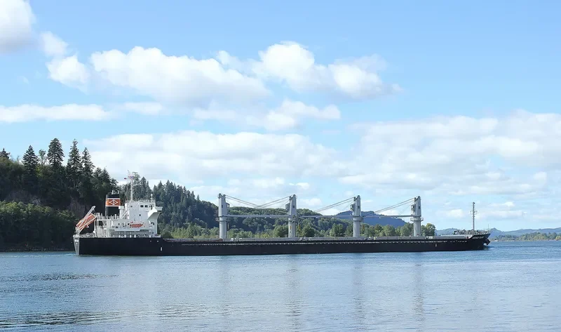 PREDATOR Bulk Carrier IMO 9641792 photo 10