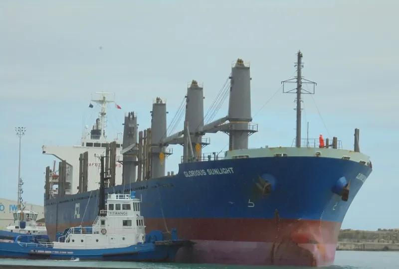 AGALI Bulk Carrier IMO 9641819 photo 2