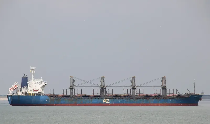 AGALI Bulk Carrier IMO 9641819 photo 9