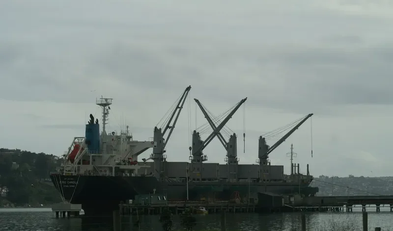 AGIA IRINI Bulk Carrier IMO 9641821 photo 10