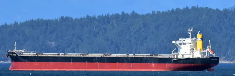 LOWLANDS ENERGY Bulk Carrier IMO 9641869 photo 3