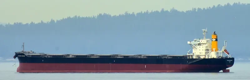 LOWLANDS ENERGY Bulk Carrier IMO 9641869 photo 5