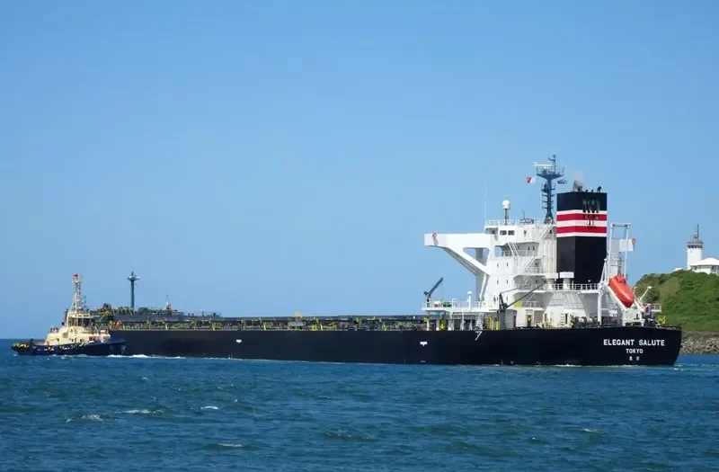 ELEGANT SALUTE Bulk Carrier IMO 9641871