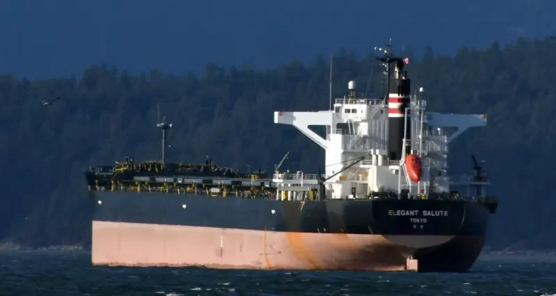 ELEGANT SALUTE Bulk Carrier IMO 9641871 photo 2
