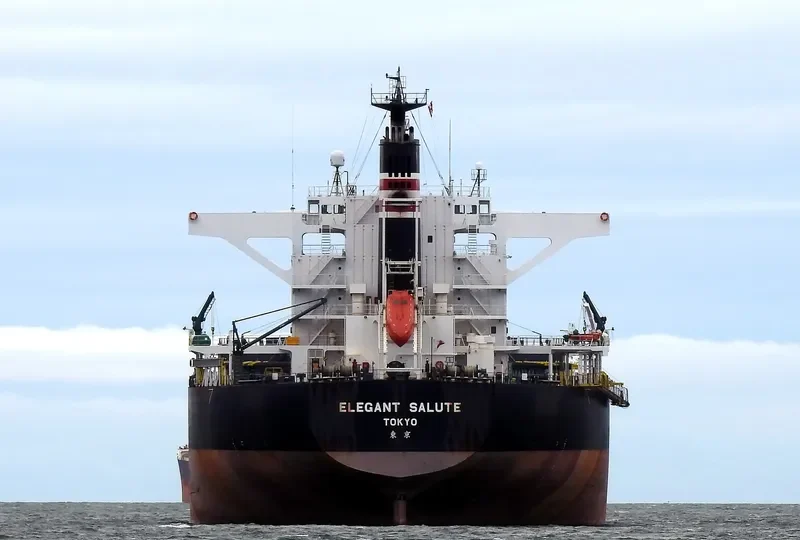 ELEGANT SALUTE Bulk Carrier IMO 9641871 photo 3