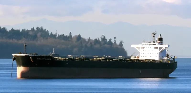 ELEGANT SALUTE Bulk Carrier IMO 9641871 photo 4