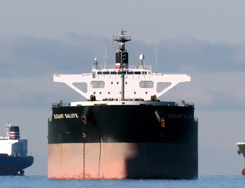 ELEGANT SALUTE Bulk Carrier IMO 9641871 photo 5