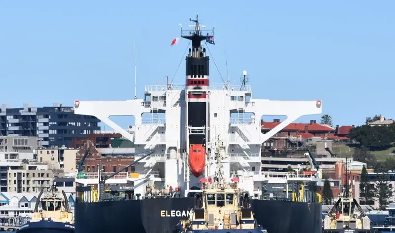 ELEGANT SALUTE Bulk Carrier IMO 9641871 photo 7