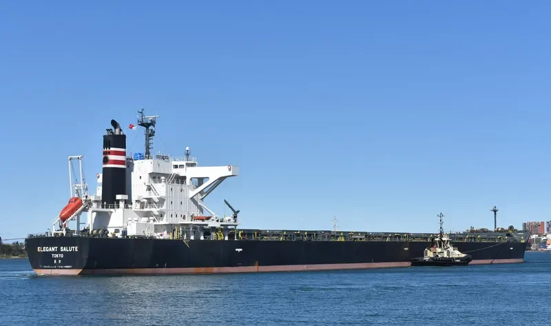 ELEGANT SALUTE Bulk Carrier IMO 9641871 photo 9