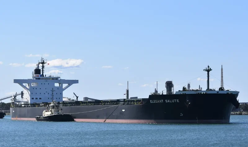 ELEGANT SALUTE Bulk Carrier IMO 9641871 photo 10