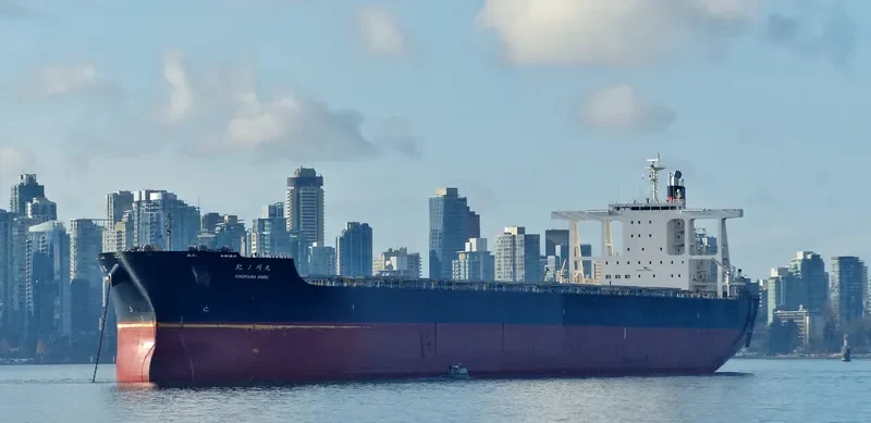 KINOKAWA MARU Bulk Carrier IMO 9641895 photo 2