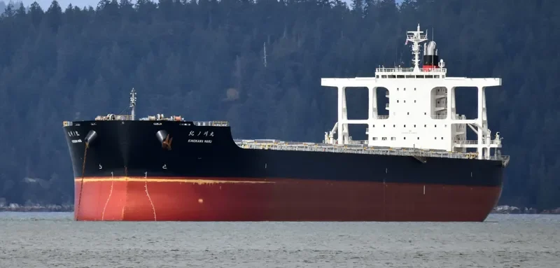 KINOKAWA MARU Bulk Carrier IMO 9641895 photo 3