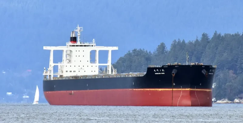 KINOKAWA MARU Bulk Carrier IMO 9641895 photo 5
