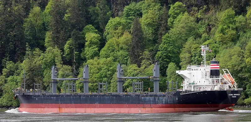 TAN BINH 279 Bulk Carrier IMO 9641912 photo 4