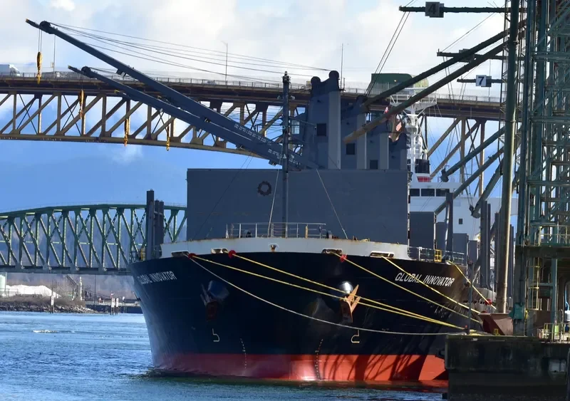 TAN BINH 279 Bulk Carrier IMO 9641912 photo 5