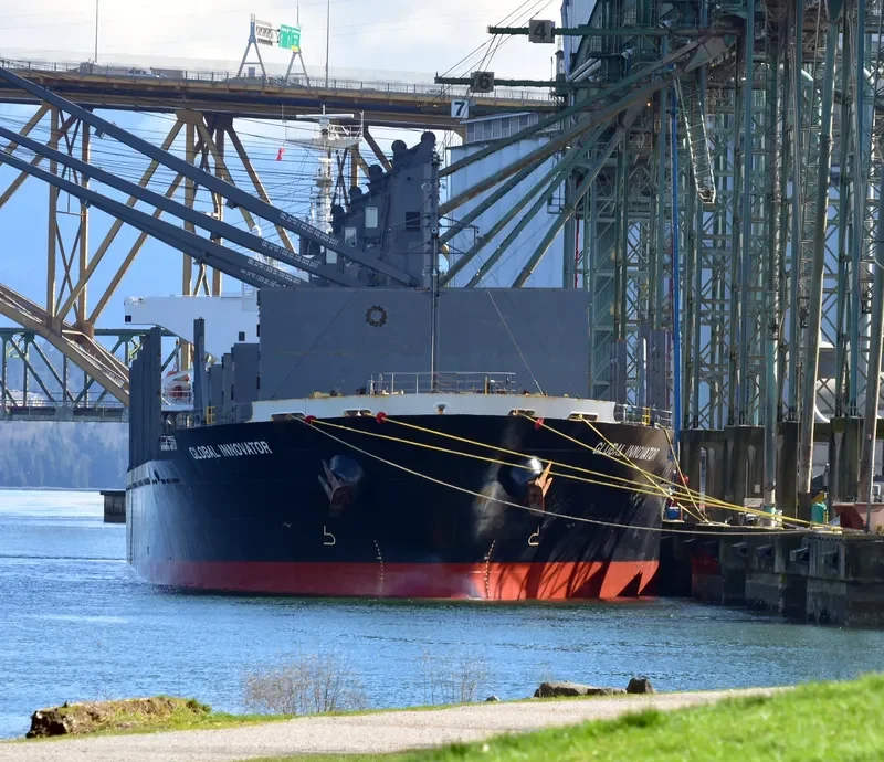 TAN BINH 279 Bulk Carrier IMO 9641912 photo 6