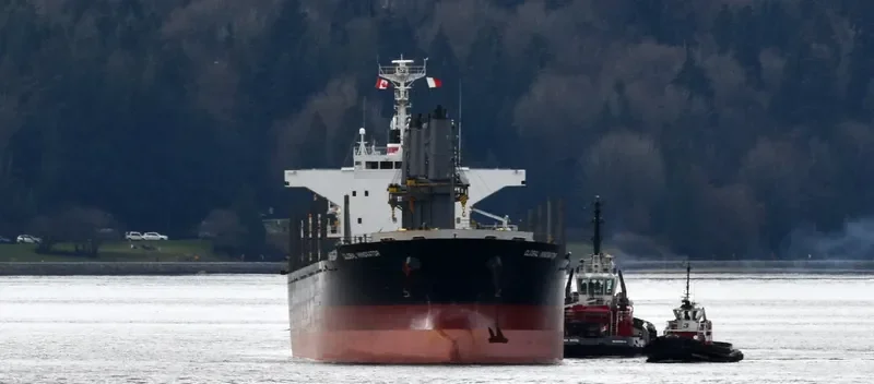 TAN BINH 279 Bulk Carrier IMO 9641912 photo 8