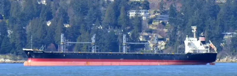 TAN BINH 279 Bulk Carrier IMO 9641912 photo 9