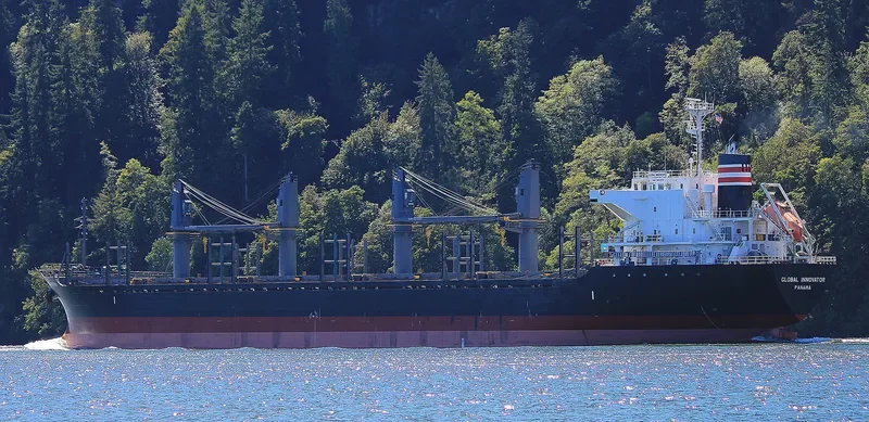 TAN BINH 279 Bulk Carrier IMO 9641912 photo 10