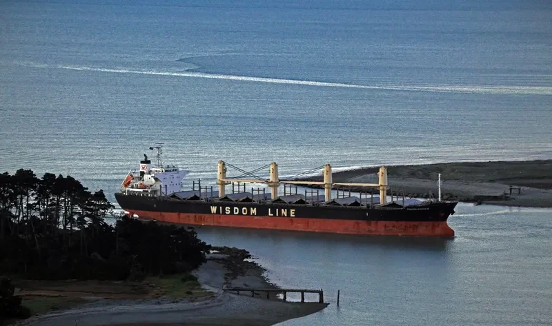 POAVOSA WISDOM VIII Bulk Carrier IMO 9641924 photo 3