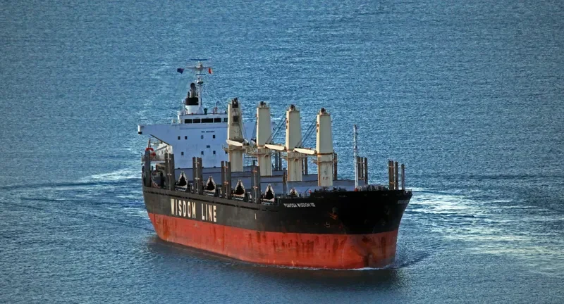 POAVOSA WISDOM VIII Bulk Carrier IMO 9641924 photo 4