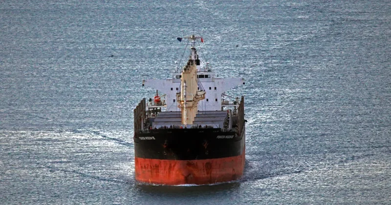 POAVOSA WISDOM VIII Bulk Carrier IMO 9641924 photo 5