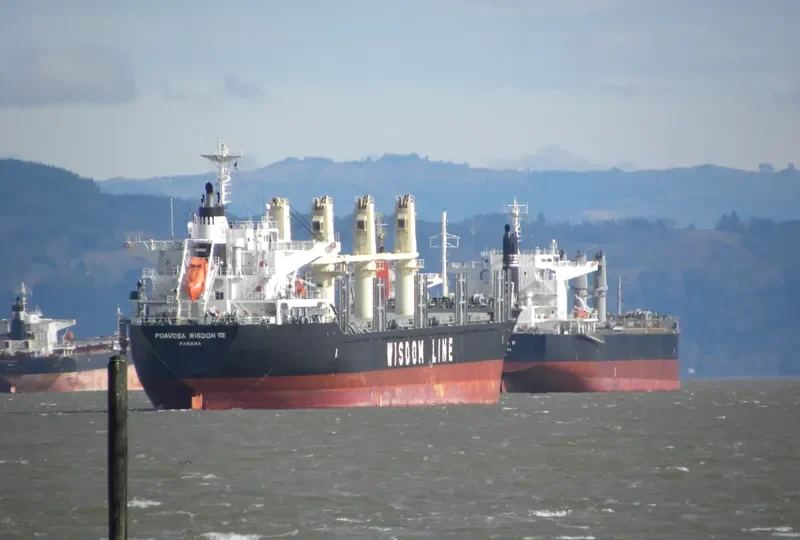 POAVOSA WISDOM VIII Bulk Carrier IMO 9641924 photo 6