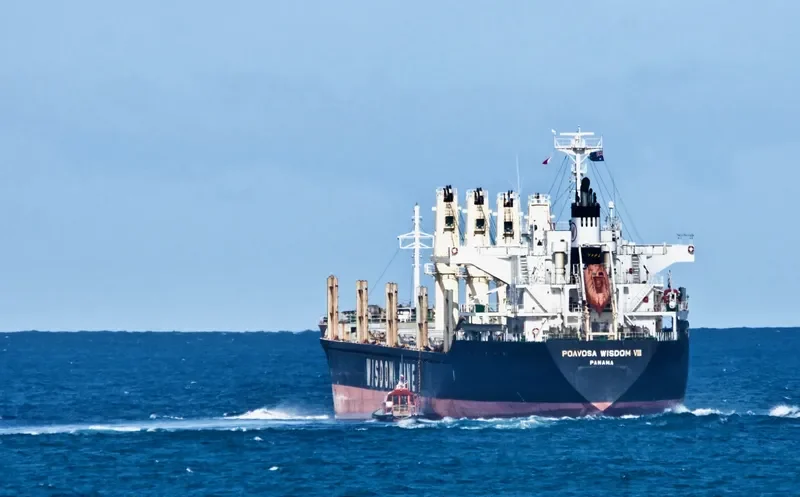 POAVOSA WISDOM VIII Bulk Carrier IMO 9641924 photo 8