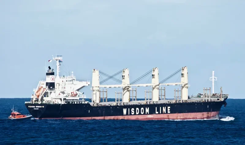 POAVOSA WISDOM VIII Bulk Carrier IMO 9641924 photo 9