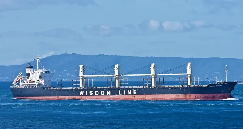 POAVOSA WISDOM VIII Bulk Carrier IMO 9641924 photo 10