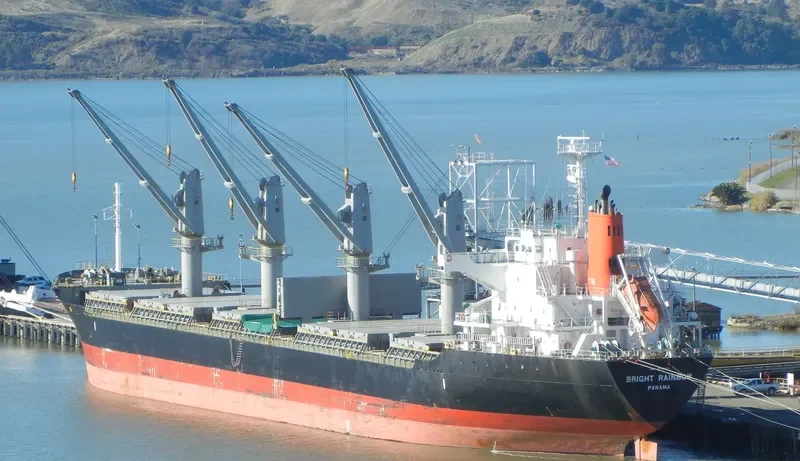 LADY LILLY Bulk Carrier IMO 9642021