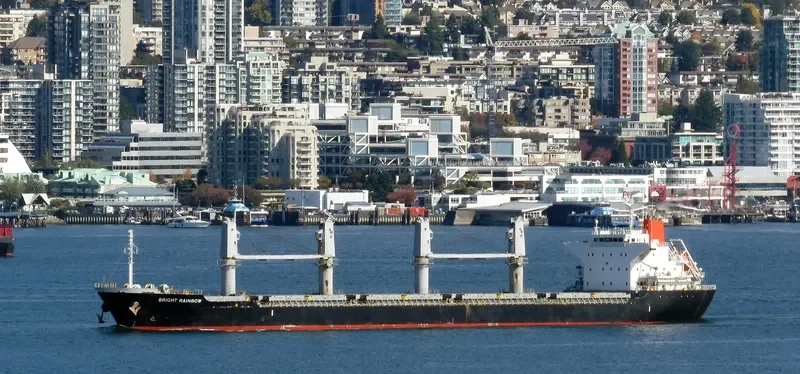 LADY LILLY Bulk Carrier IMO 9642021 photo 2