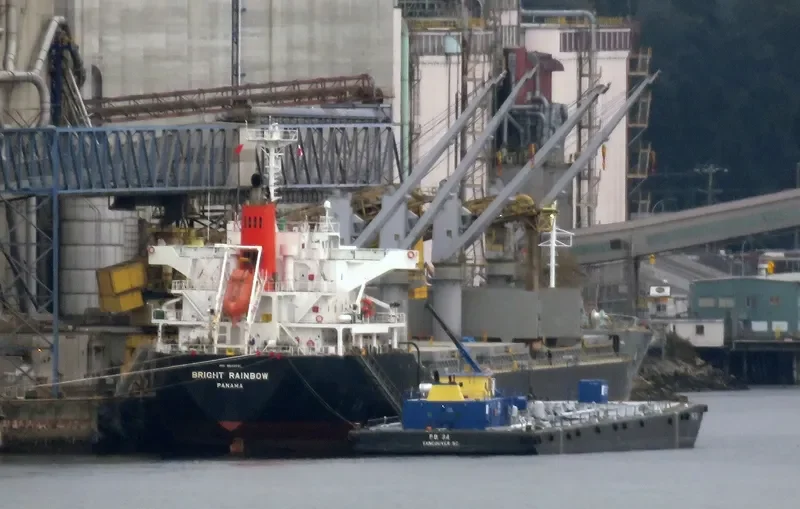LADY LILLY Bulk Carrier IMO 9642021 photo 4
